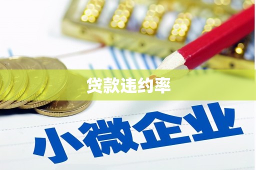 黄州贷款违约率