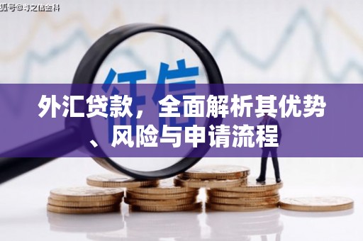 黄州外汇贷款，全面解析其优势、风险与申请流程