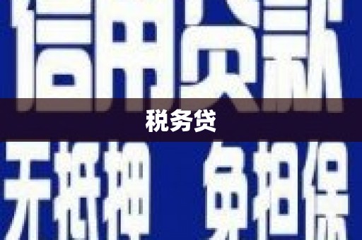 黄州税务贷