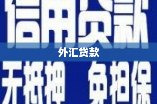 黄州外汇贷款