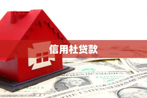 黄州信用社贷款