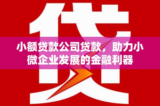 黄州小额贷款公司贷款，助力小微企业发展的金融利器