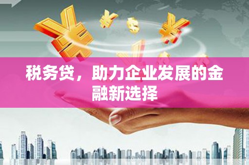 黄州税务贷，助力企业发展的金融新选择
