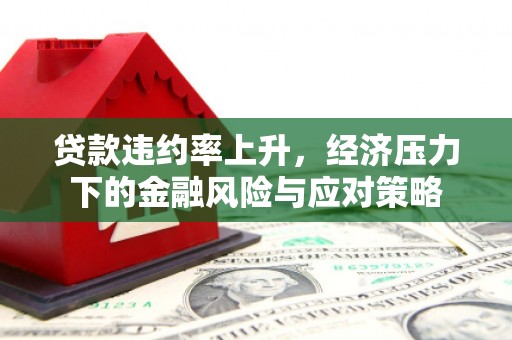 黄州贷款违约率上升，经济压力下的金融风险与应对策略