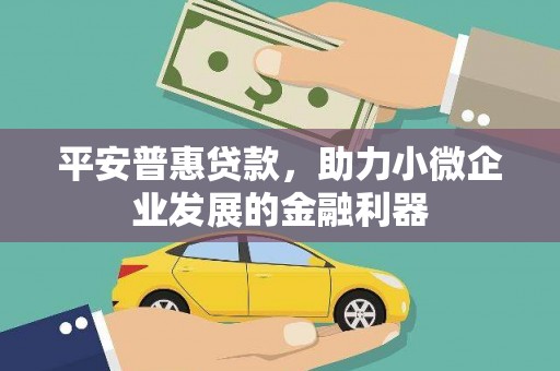黄州平安普惠贷款，助力小微企业发展的金融利器