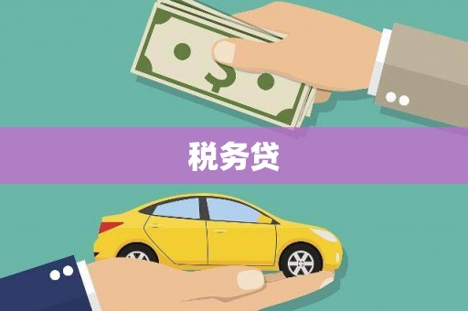 黄州税务贷