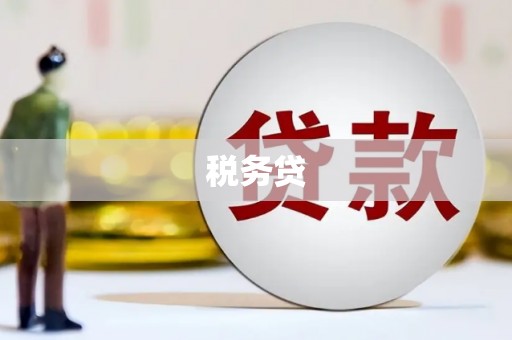 黄州税务贷