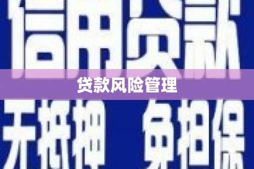 黄州贷款风险管理