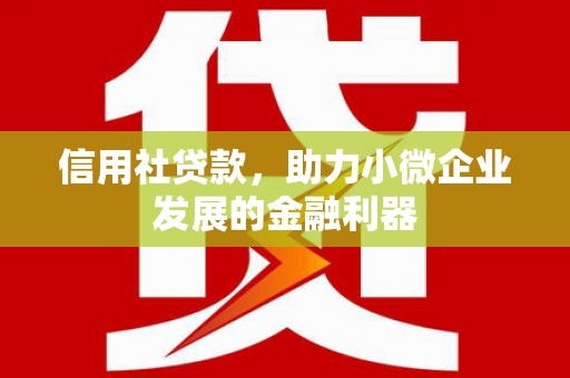 黄州信用社贷款，助力小微企业发展的金融利器
