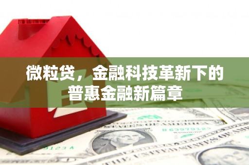 黄州微粒贷，金融科技革新下的普惠金融新篇章