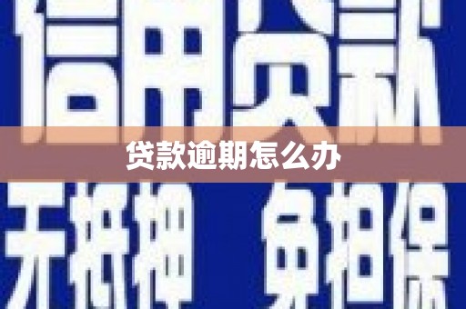 黄州贷款逾期怎么办