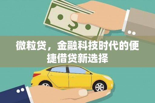 黄州微粒贷，金融科技时代的便捷借贷新选择