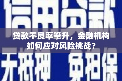 黄州贷款不良率攀升，金融机构如何应对风险挑战？