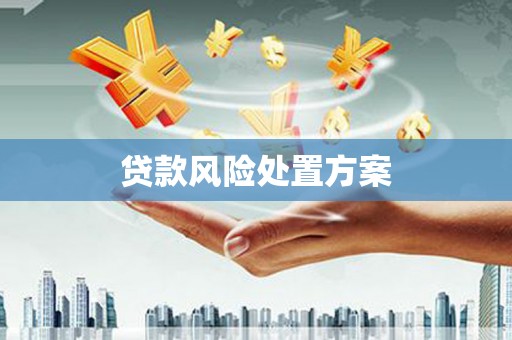 黄州贷款风险处置方案