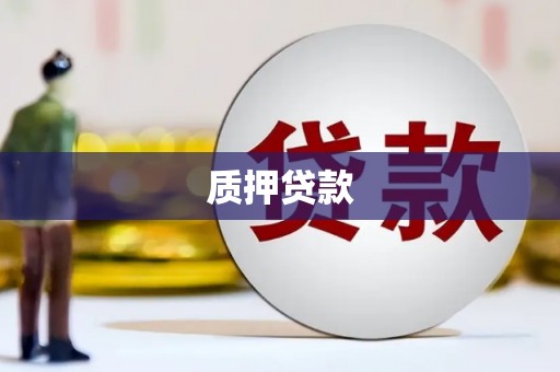 黄州质押贷款