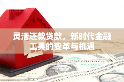 黄州灵活还款贷款，新时代金融工具的变革与机遇